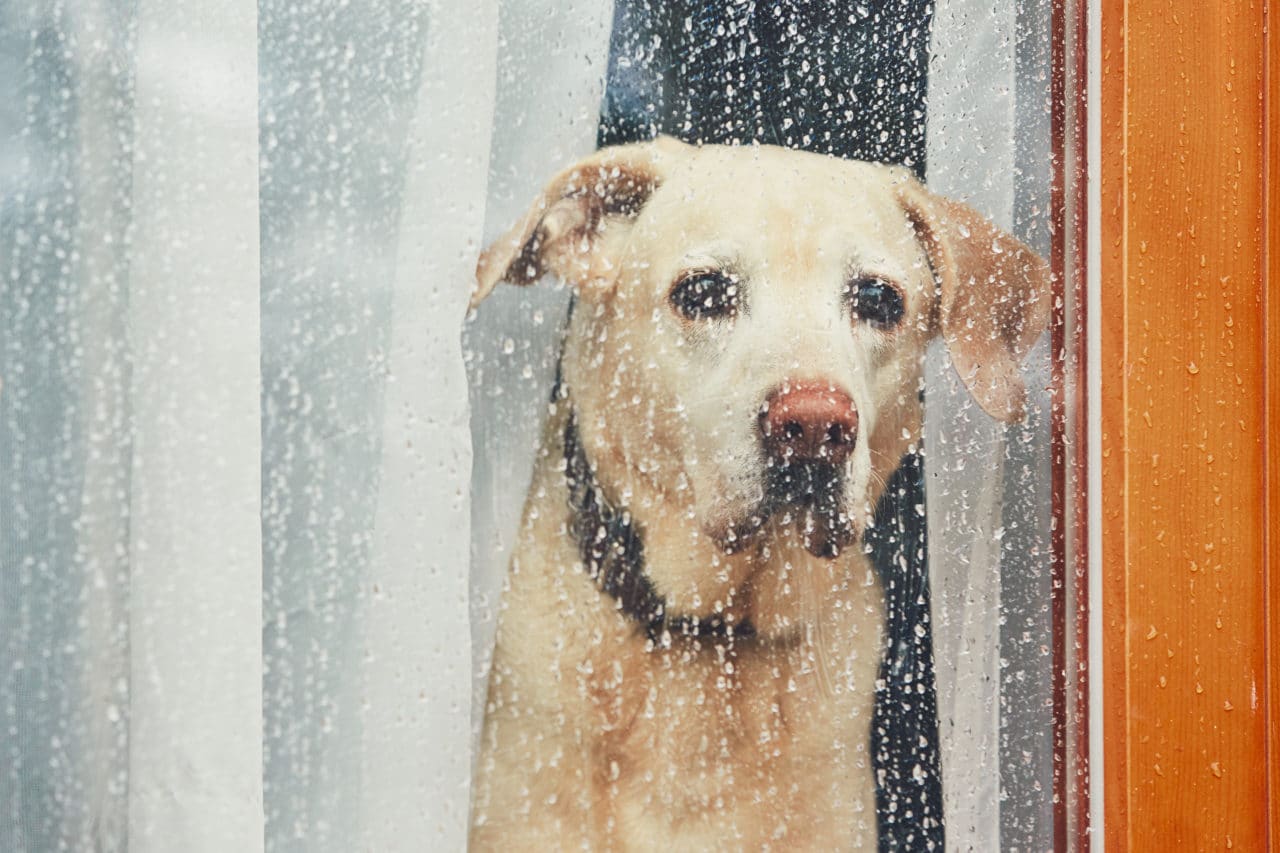 6 Ways To Protect Your Home From the Weather - Lee Company