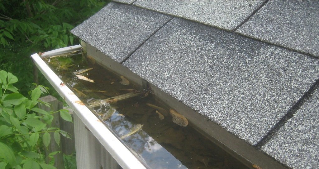 Gutter Cleaning in Willow Grove PA