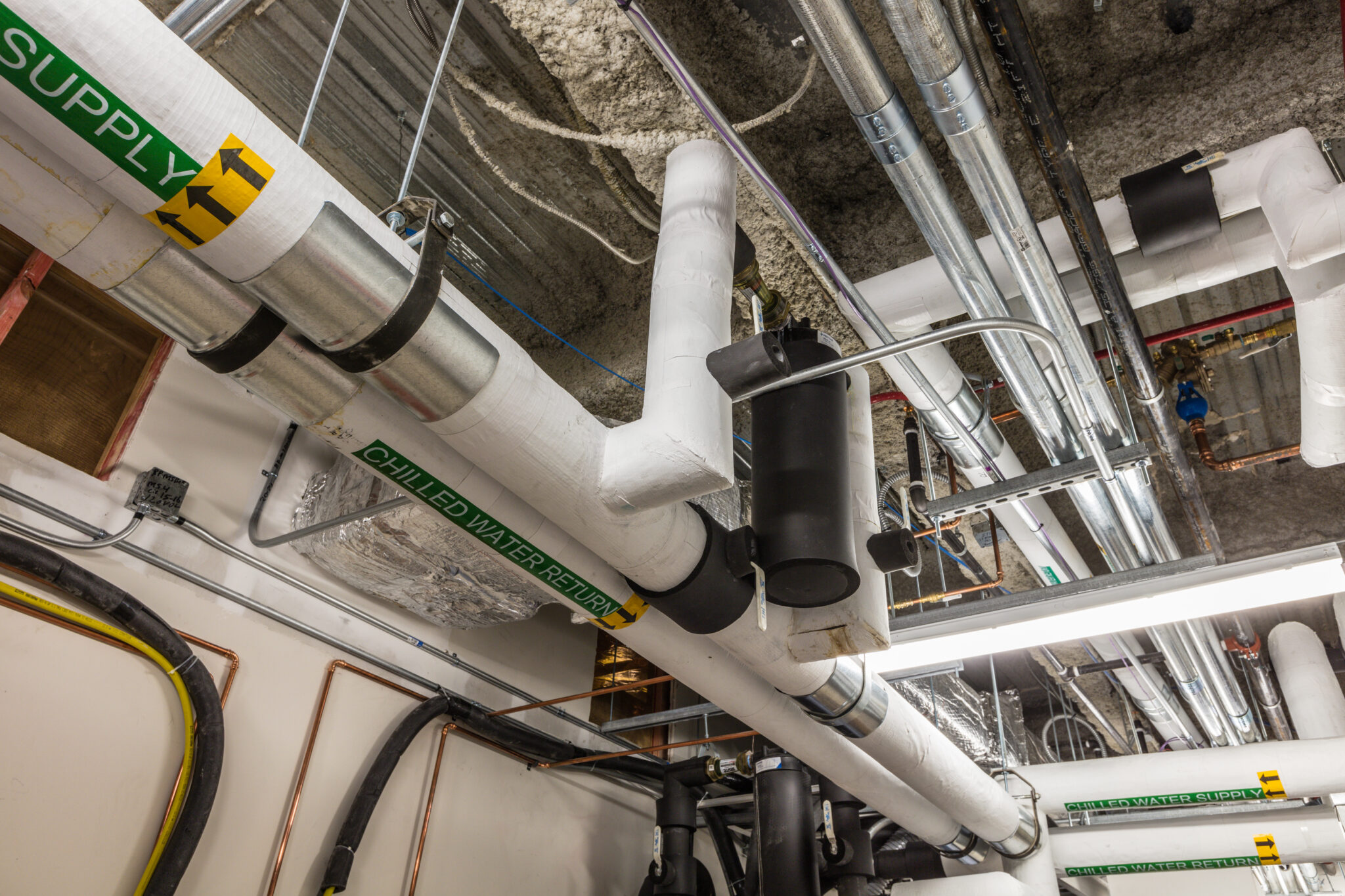 The Orthopedic Center Lee Company