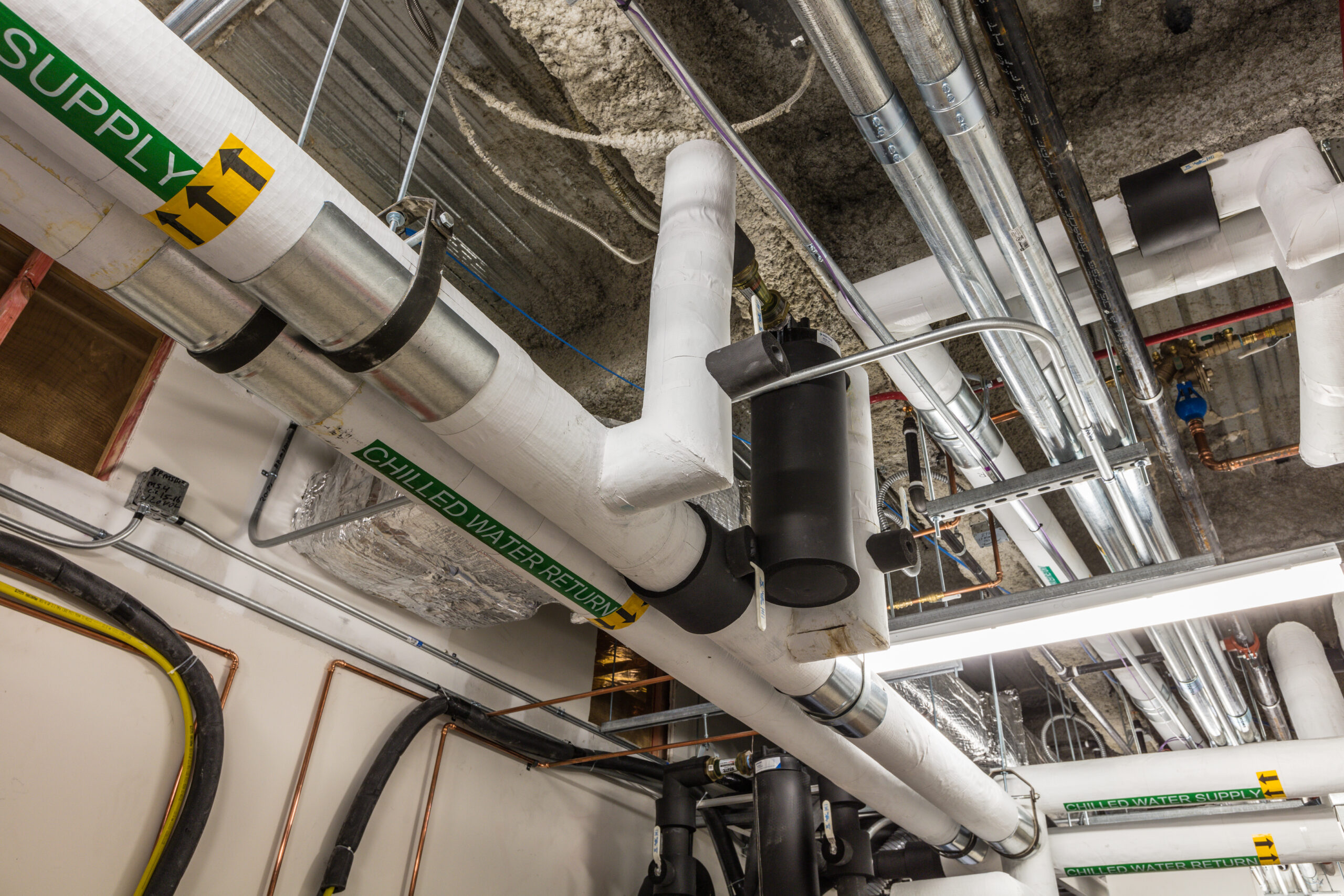 The Orthopedic Center